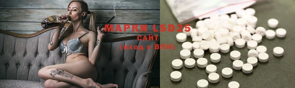 ECSTASY Инсар