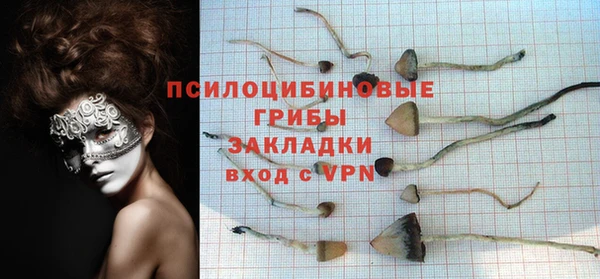 ECSTASY Инсар