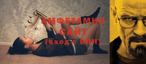 ECSTASY Инсар