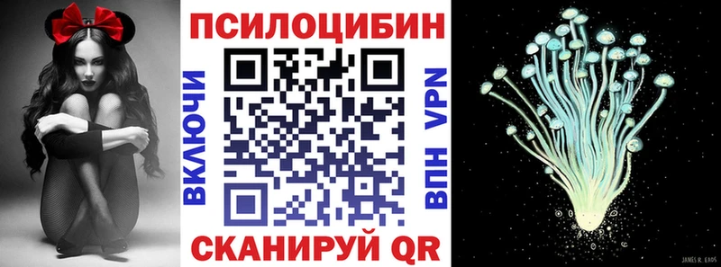 Купить закладки  Звенигово  Псилоцибиновые грибы Magic Shrooms 